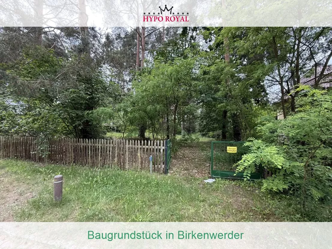 Baugrundstück in Birkenwerder