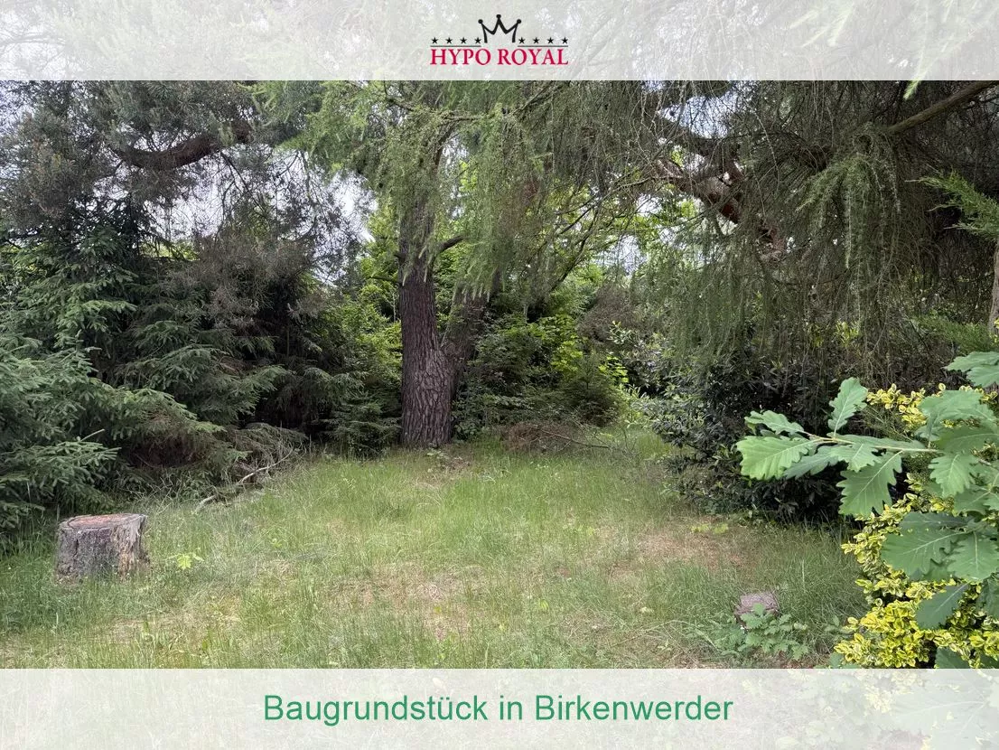 Baugrundstück in Birkenwerder
